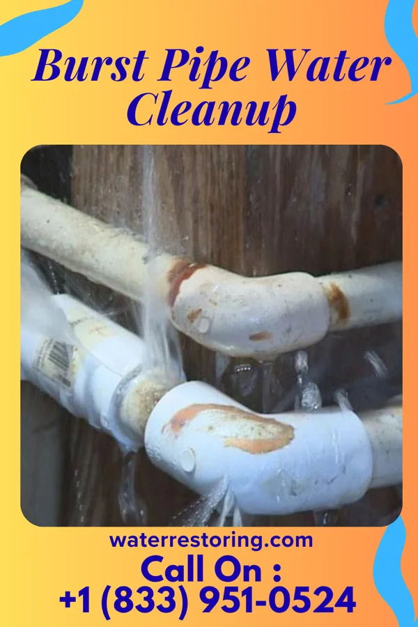 Burst Pipe Water Cleanup in Fremont, NC