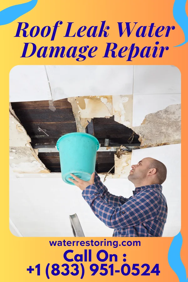 Roof Leak Water Damage Repair in Fremont, NC