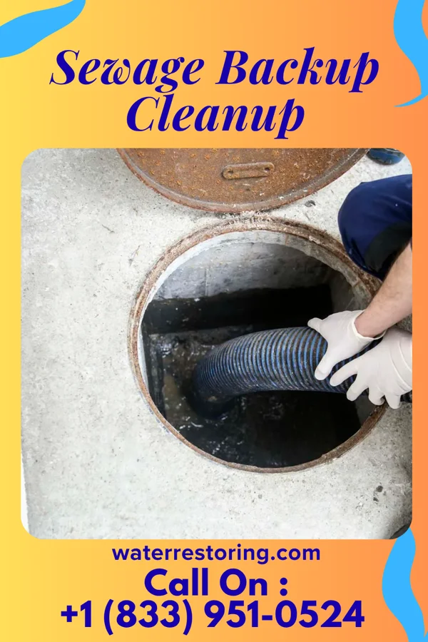 Sewage Backup Cleanup in Fremont, NC